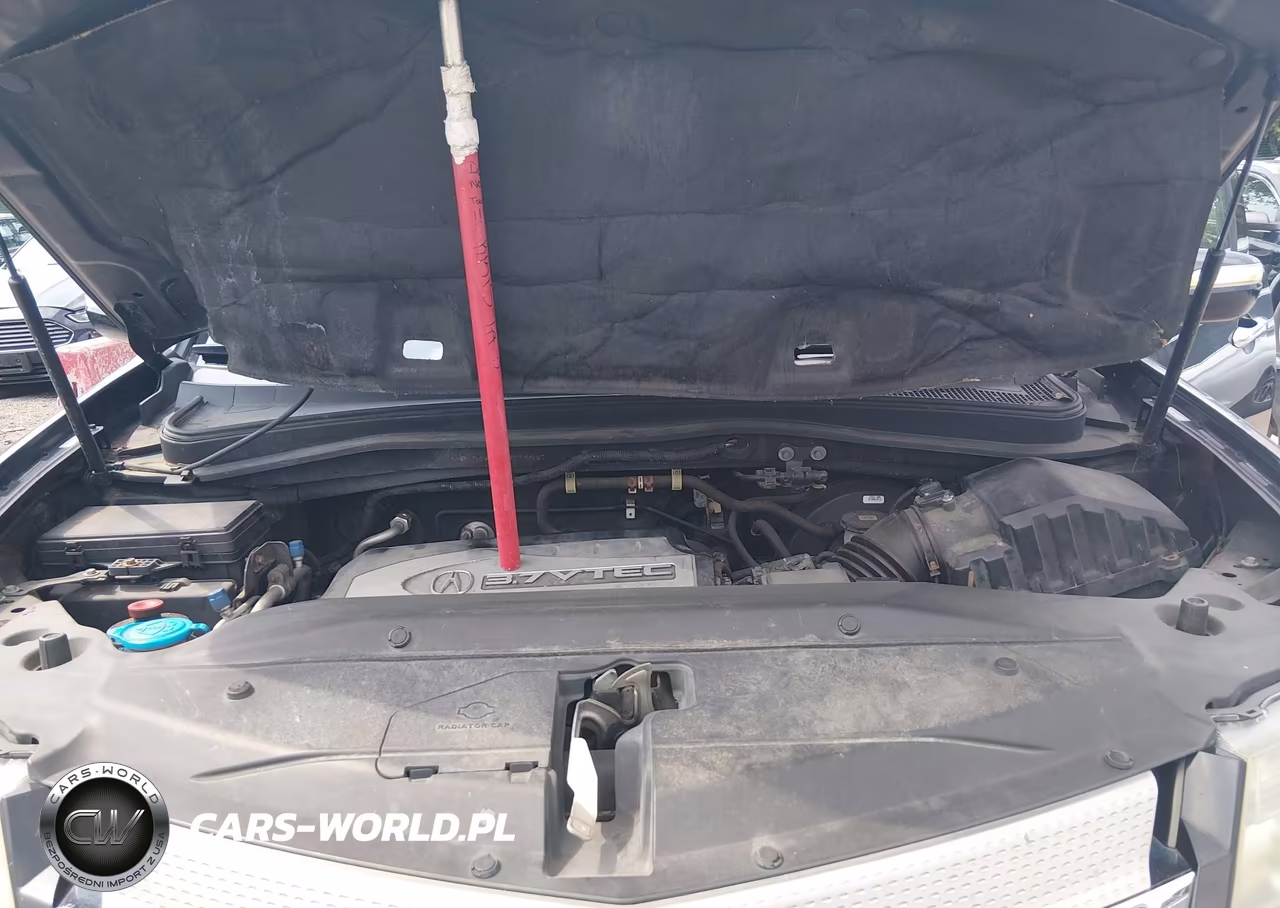 2009 Acura Mdx VIN:2HNYD28239H532967 - 10