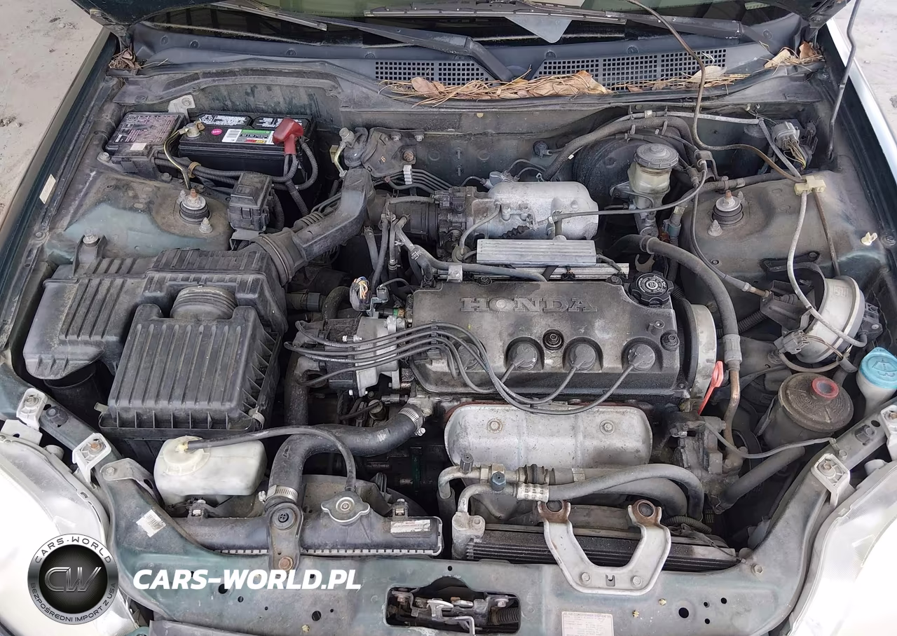 1999 Honda Civic Ex VIN:1HGEJ8640XL029617 - 10
