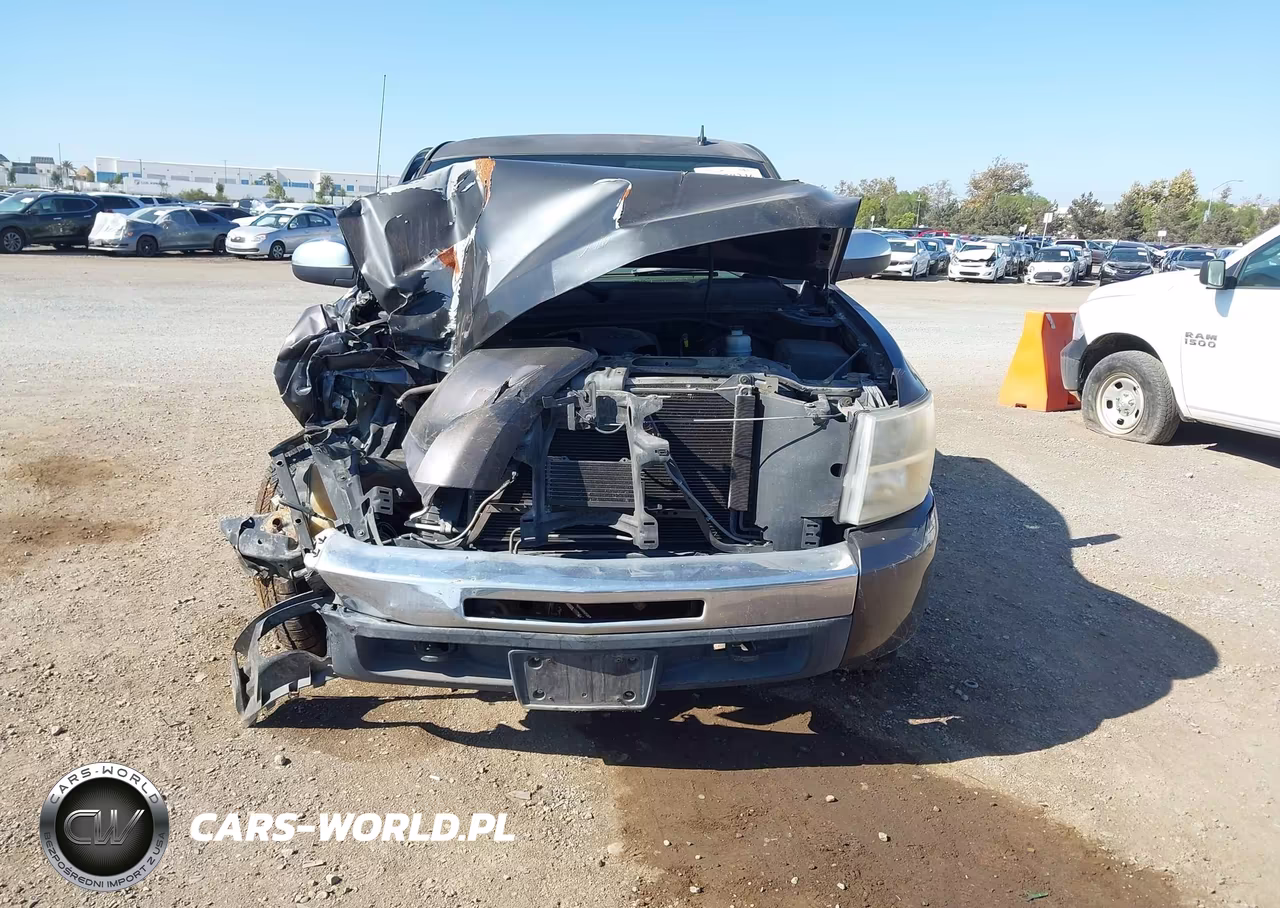 2010 Chevrolet Silverado 1500 Lt VIN:1GCSKSE30AZ196004 - 12