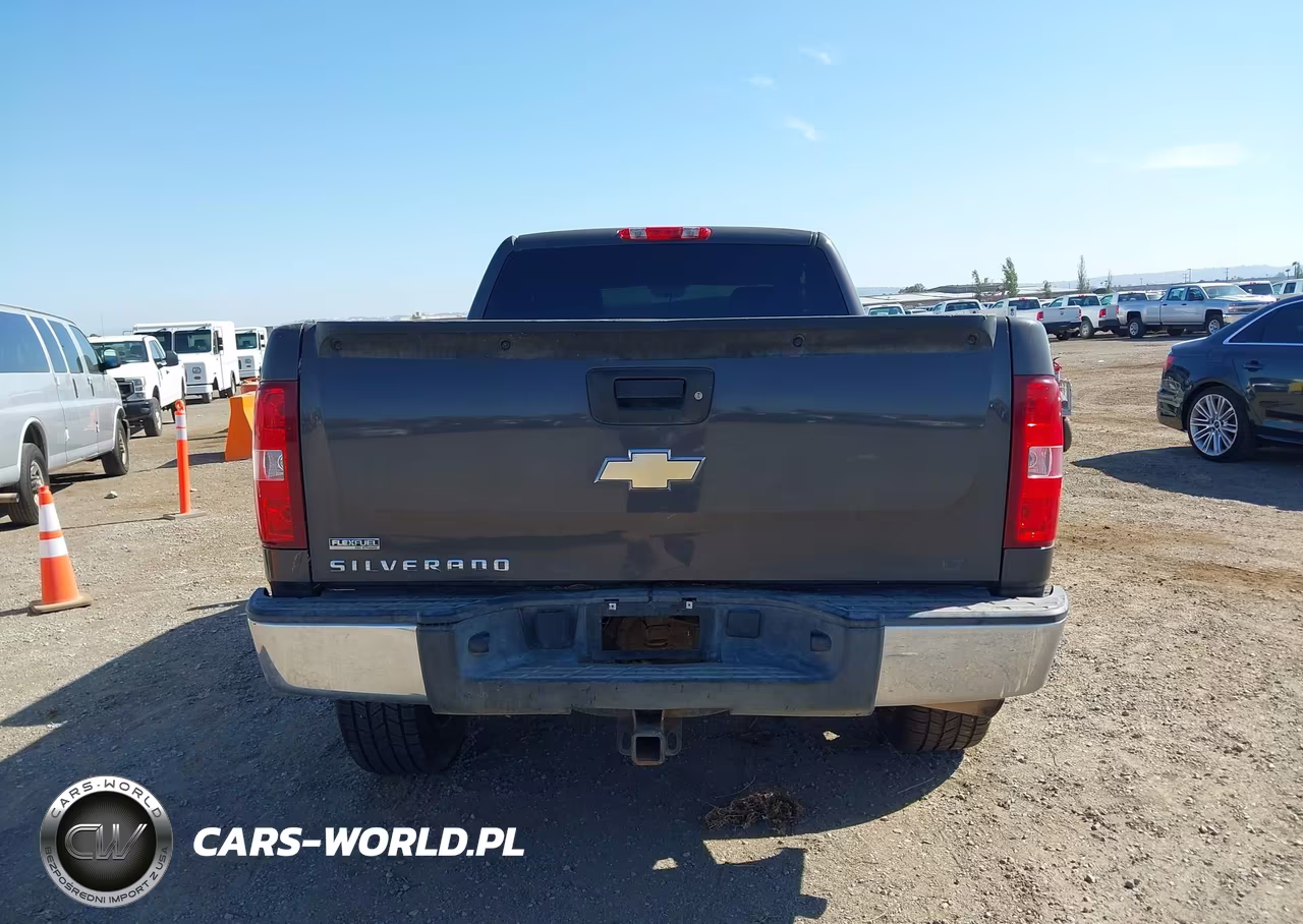 2010 Chevrolet Silverado 1500 Lt VIN:1GCSKSE30AZ196004 - 16