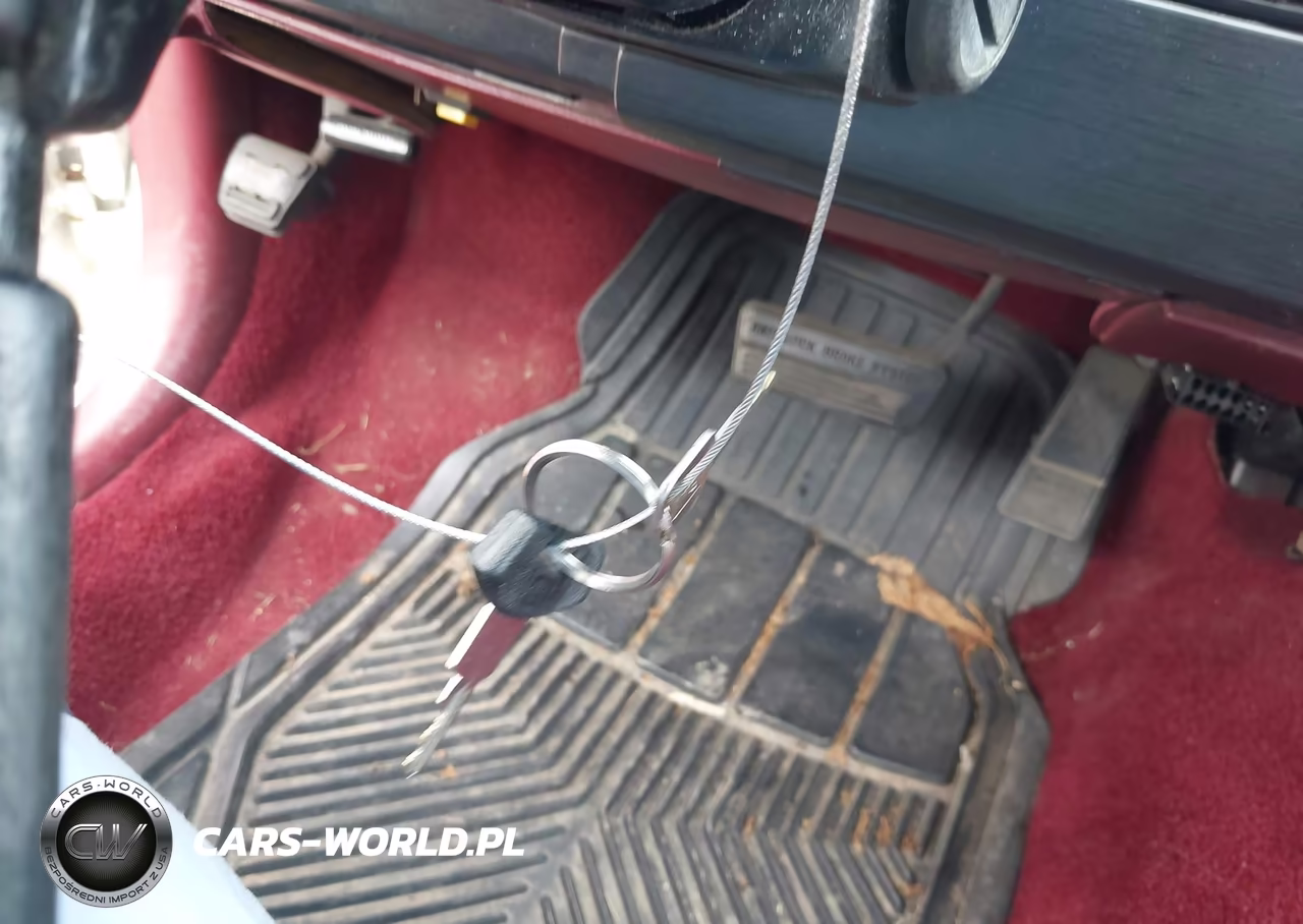1994 Chevrolet Lumina Euro VIN:2G1WN54T8R9151435 - 11