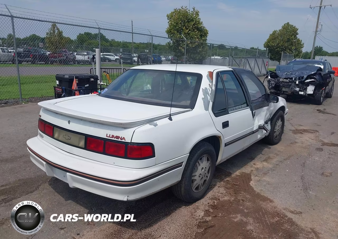 1994 Chevrolet Lumina Euro VIN:2G1WN54T8R9151435 - 4