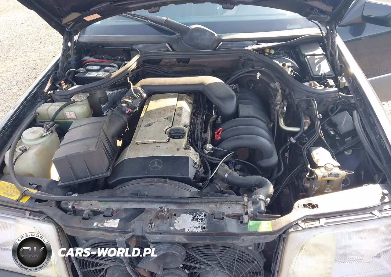 1994 Mercedes-Benz E 320 VIN:WDBEA32E1RC035850 - 10