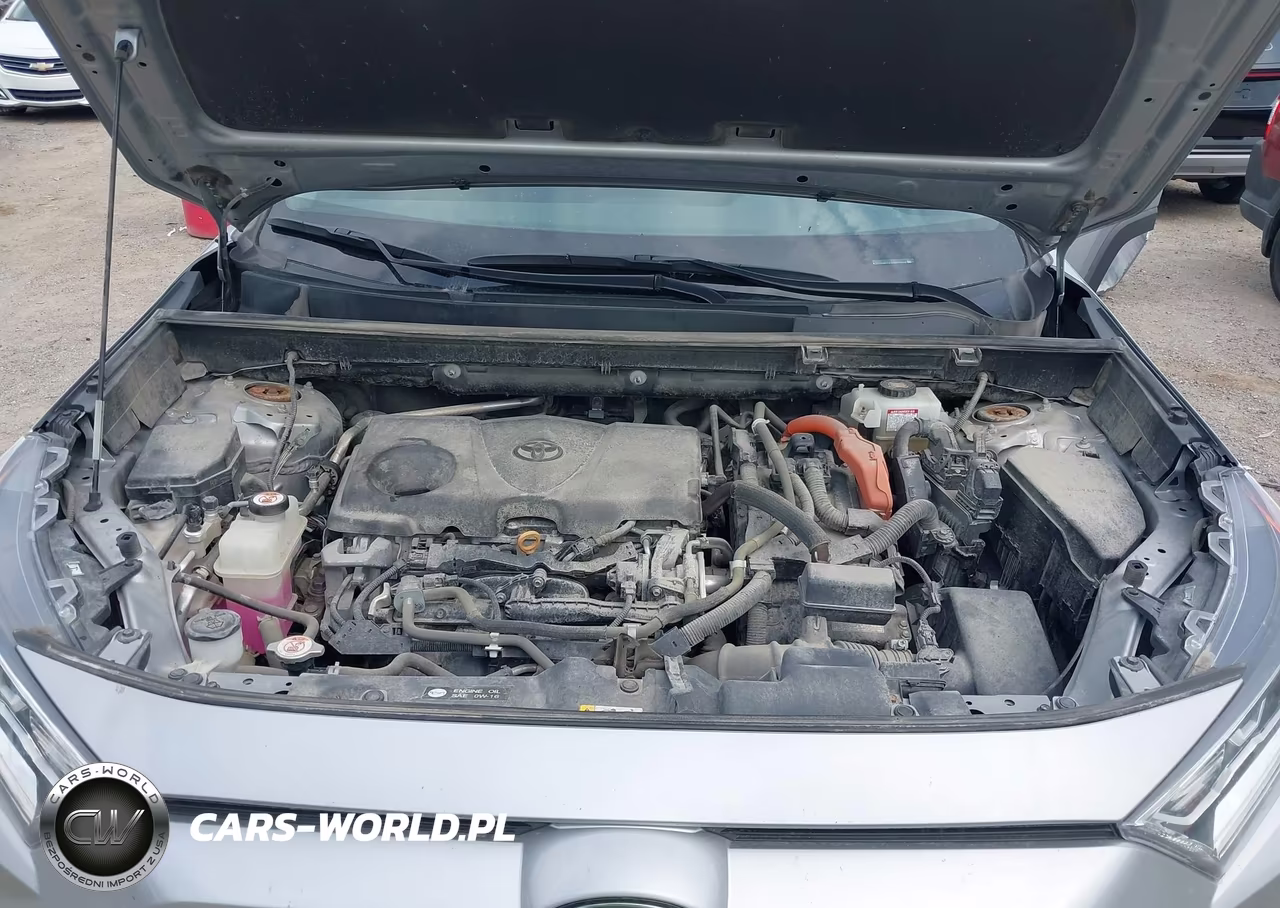 2019 Toyota Rav4 Hybrid Xle VIN:2T3RWRFV1KW029888 - 10