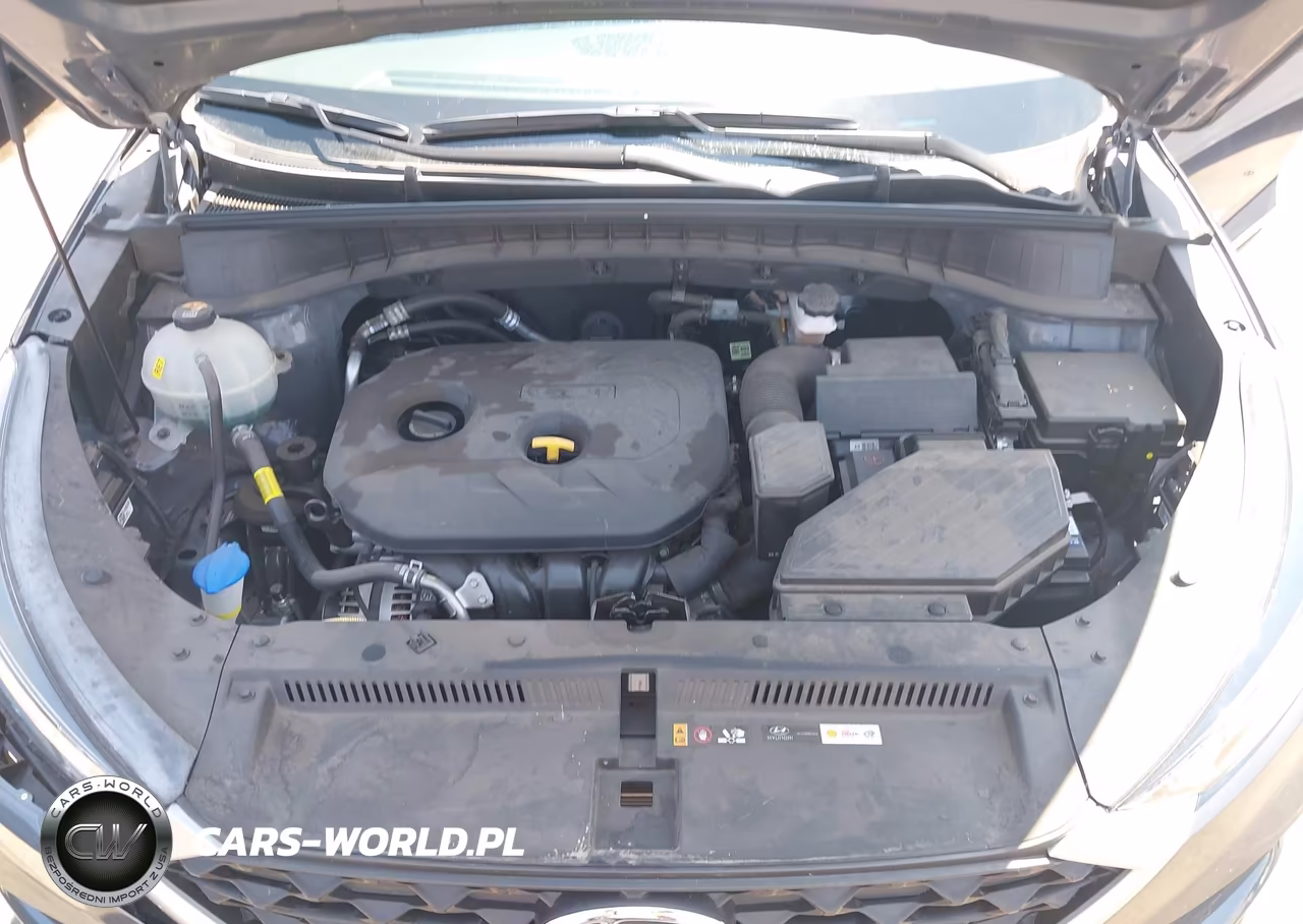 2021 Hyundai Tucson Value VIN:KM8J33A47MU317458 - 10