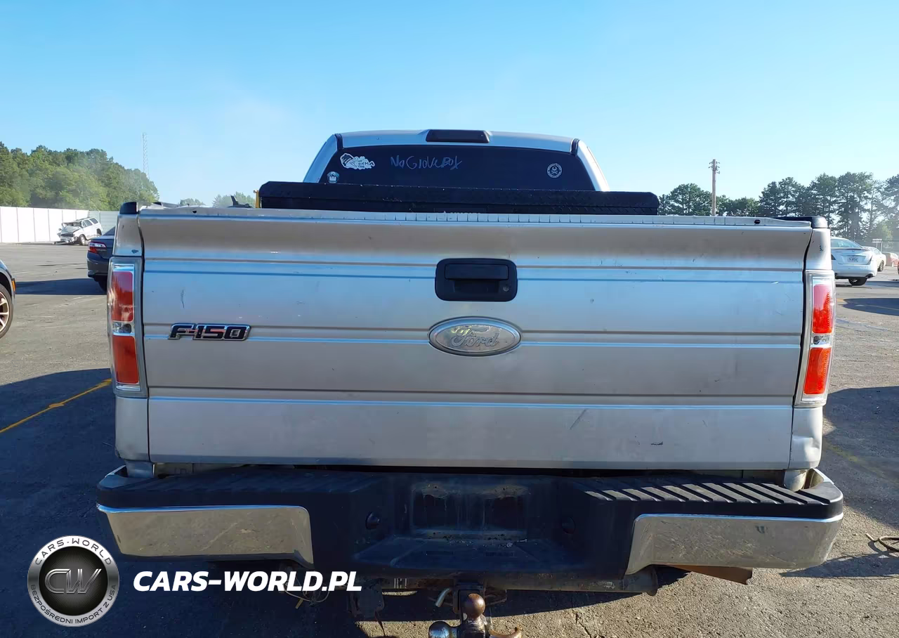 2010 Ford F-150 Fx2 Sport-Stx-Xl-Xlt VIN:1FTEX1C87AFB13824 - 16