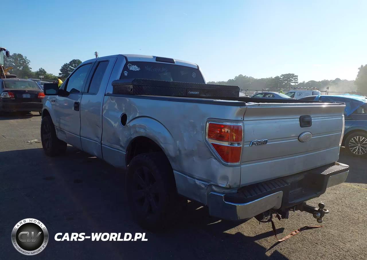 2010 Ford F-150 Fx2 Sport-Stx-Xl-Xlt VIN:1FTEX1C87AFB13824 - 3