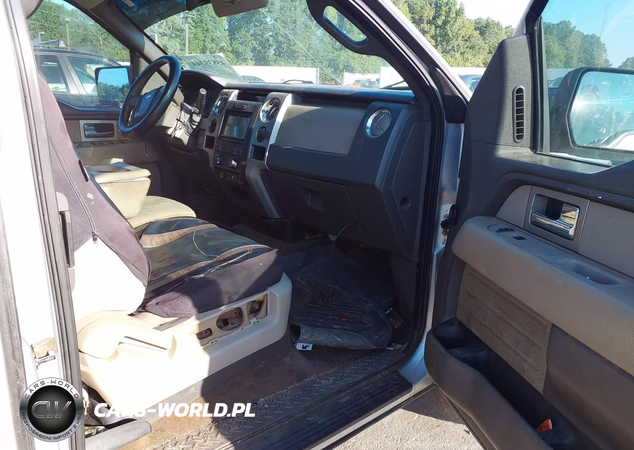 2010 Ford F-150 Fx2 Sport-Stx-Xl-Xlt VIN:1FTEX1C87AFB13824 - 5