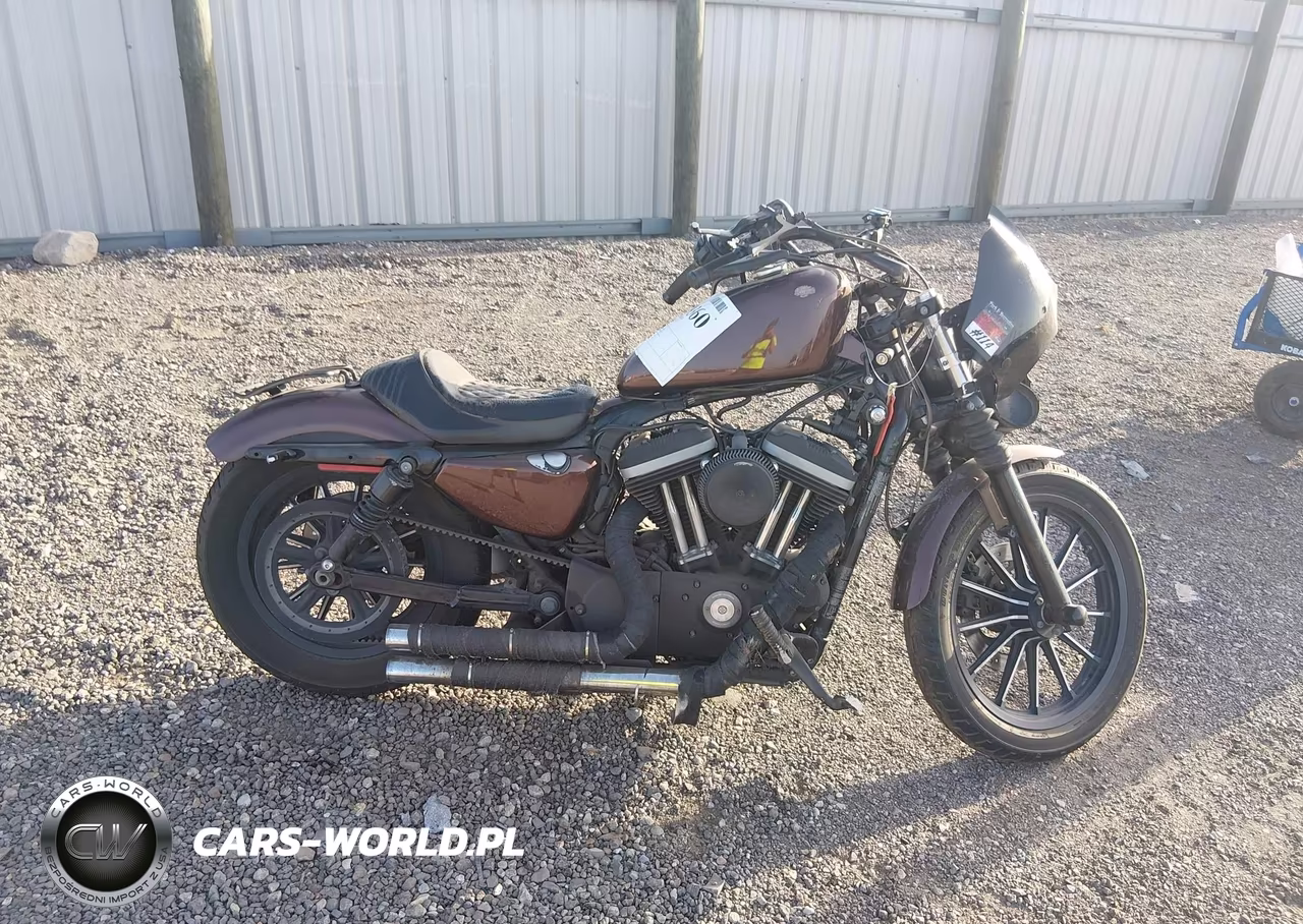 2011 Harley-Davidson Xl883 N VIN:1HD4LE237BC429939 - 12