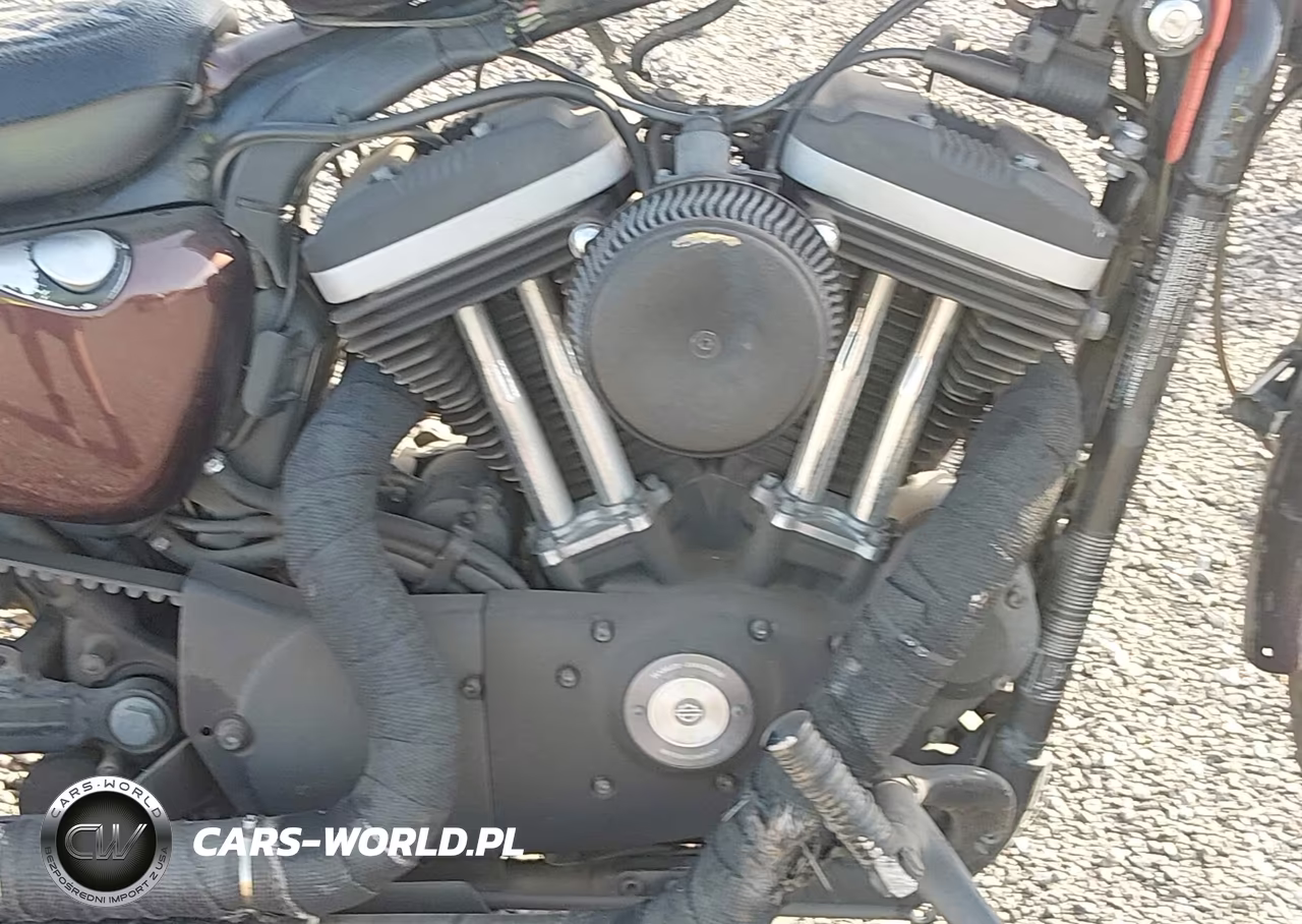 2011 Harley-Davidson Xl883 N VIN:1HD4LE237BC429939 - 8