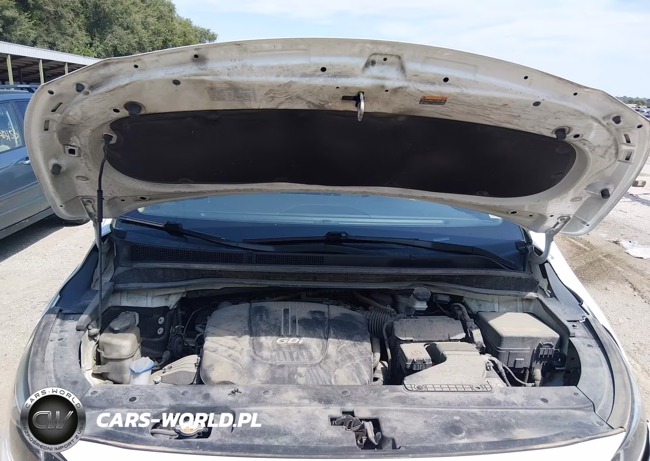 2015 Kia Sedona Sx VIN:KNDMC5C18F6032761 - 10