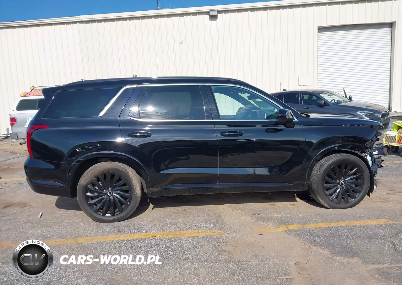 2025 Hyundai Palisade Calligraphy Night Edition VIN:KM8R7DGE4SU882664 - 13