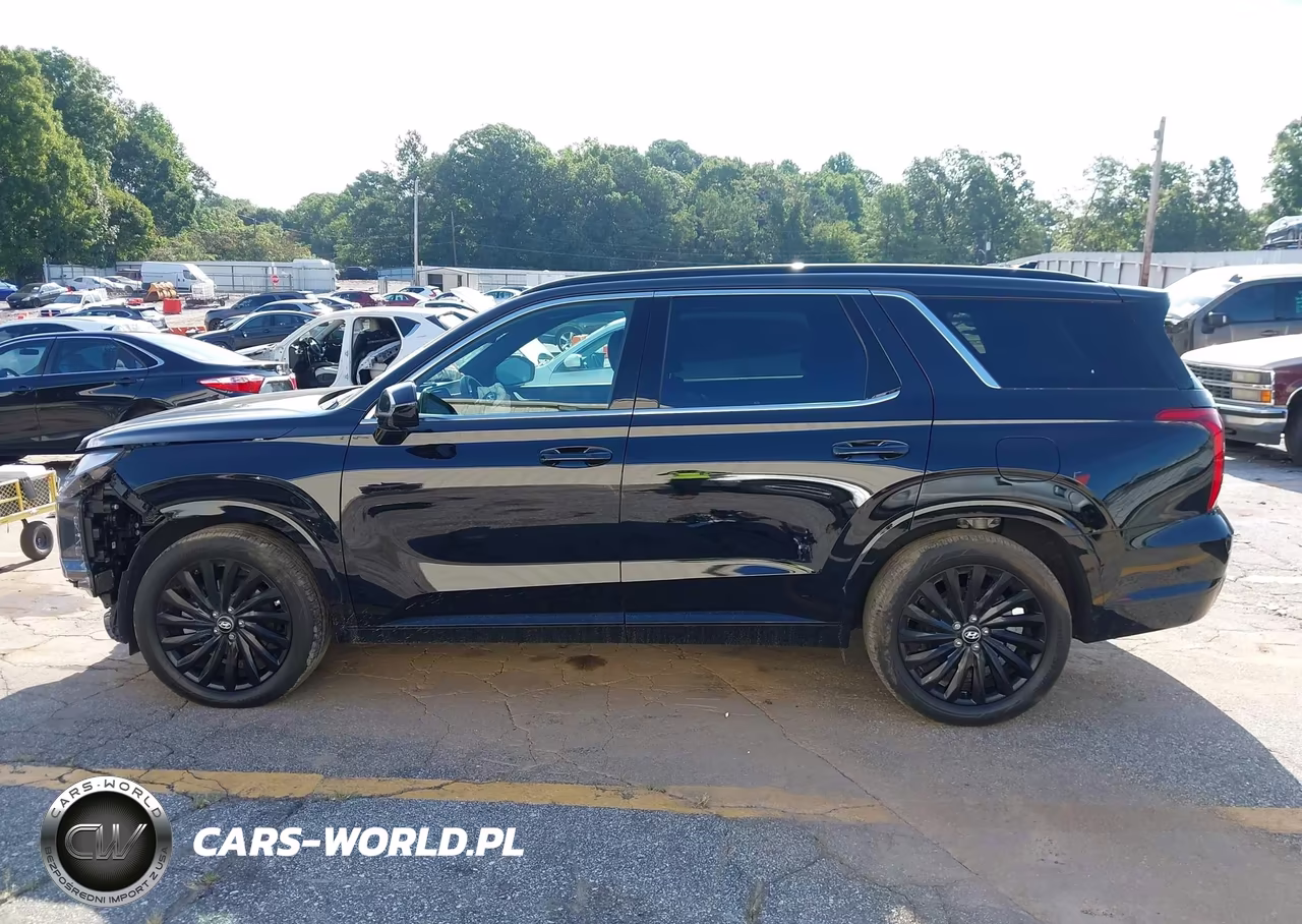 2025 Hyundai Palisade Calligraphy Night Edition VIN:KM8R7DGE4SU882664 - 14