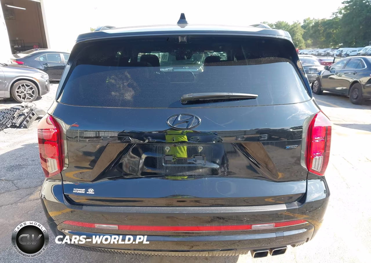 2025 Hyundai Palisade Calligraphy Night Edition VIN:KM8R7DGE4SU882664 - 16