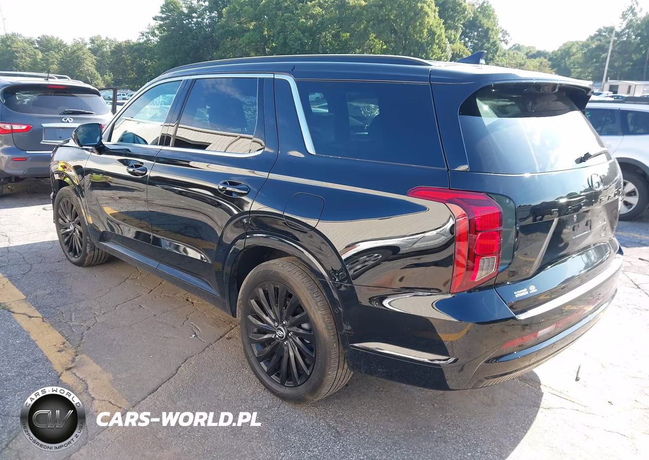 2025 Hyundai Palisade Calligraphy Night Edition VIN:KM8R7DGE4SU882664 - 3