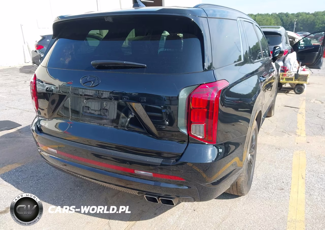 2025 Hyundai Palisade Calligraphy Night Edition VIN:KM8R7DGE4SU882664 - 4