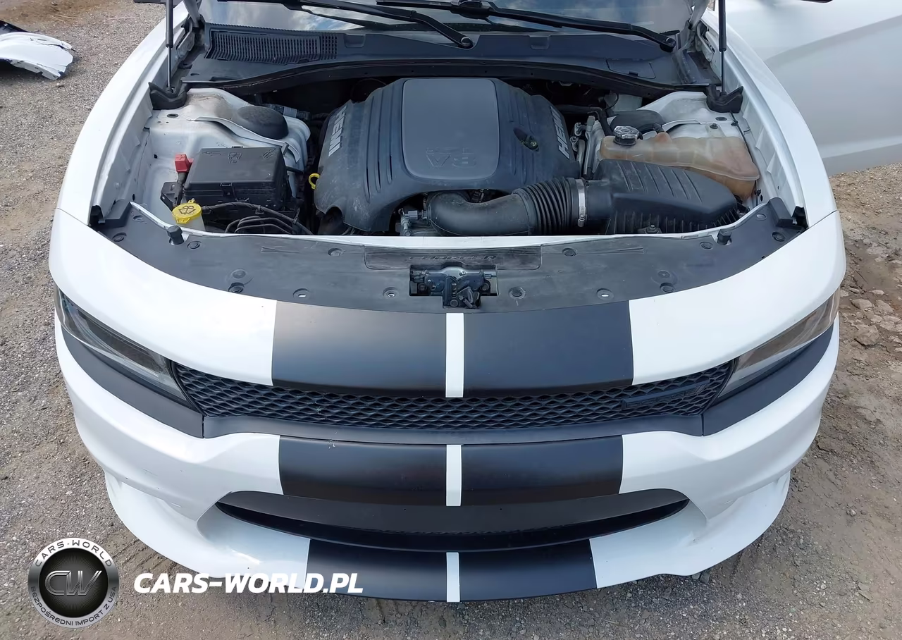 2020 Dodge Charger R-T Rwd VIN:2C3CDXCT1LH133077 - 10