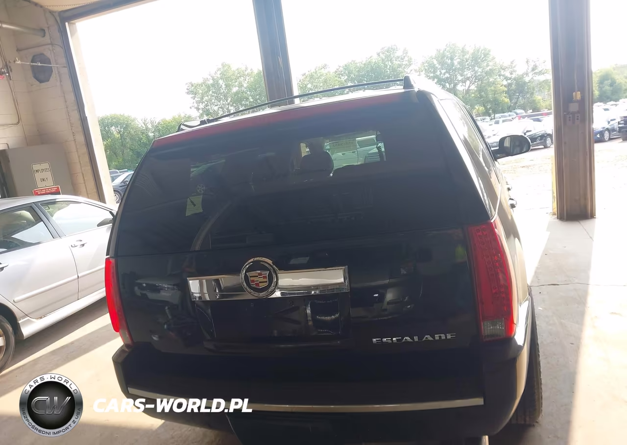 2013 Cadillac Escalade Luxury VIN:1GYS4BEFXDR243929 - 16