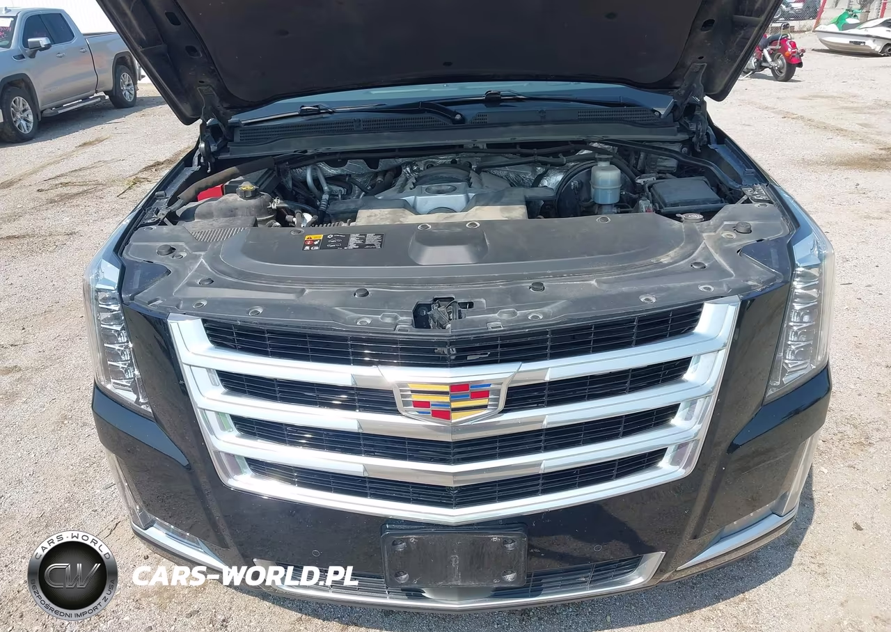 2015 Cadillac Escalade Premium VIN:1GYS4NKJ0FR559370 - 10