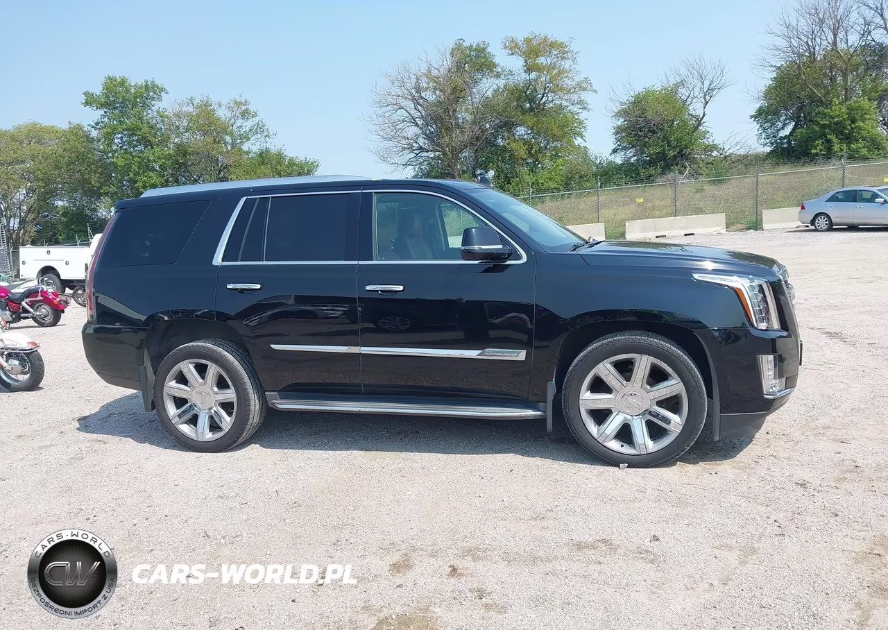 2015 Cadillac Escalade Premium VIN:1GYS4NKJ0FR559370 - 13