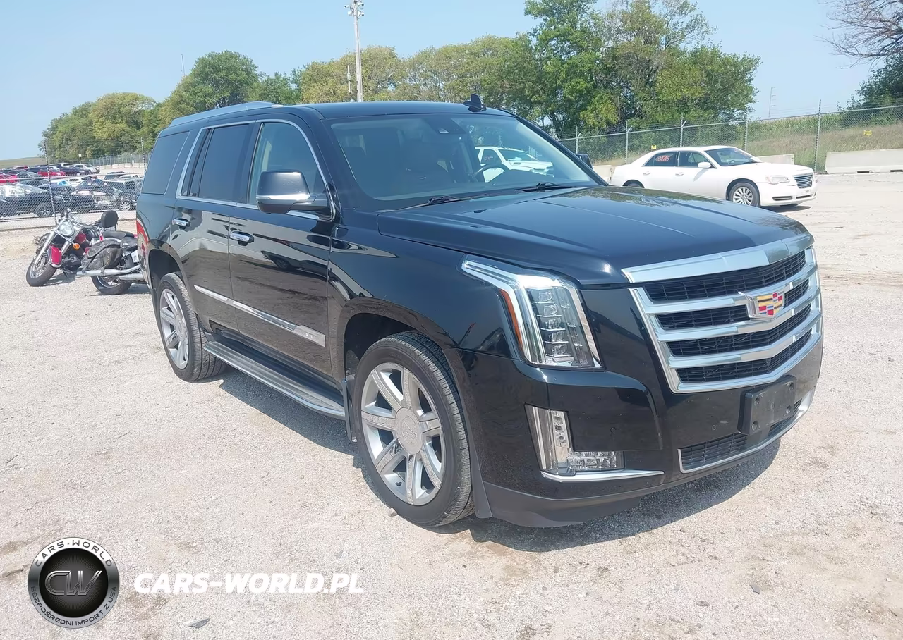 2015 Cadillac Escalade Premium VIN:1GYS4NKJ0FR559370 - 18