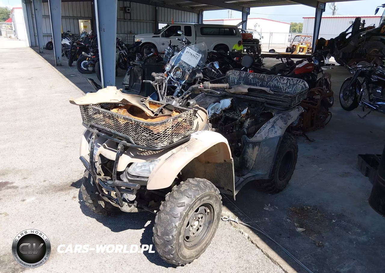 2013 Honda Trx420 Fm VIN:1HFTE3596D4600453 - 2