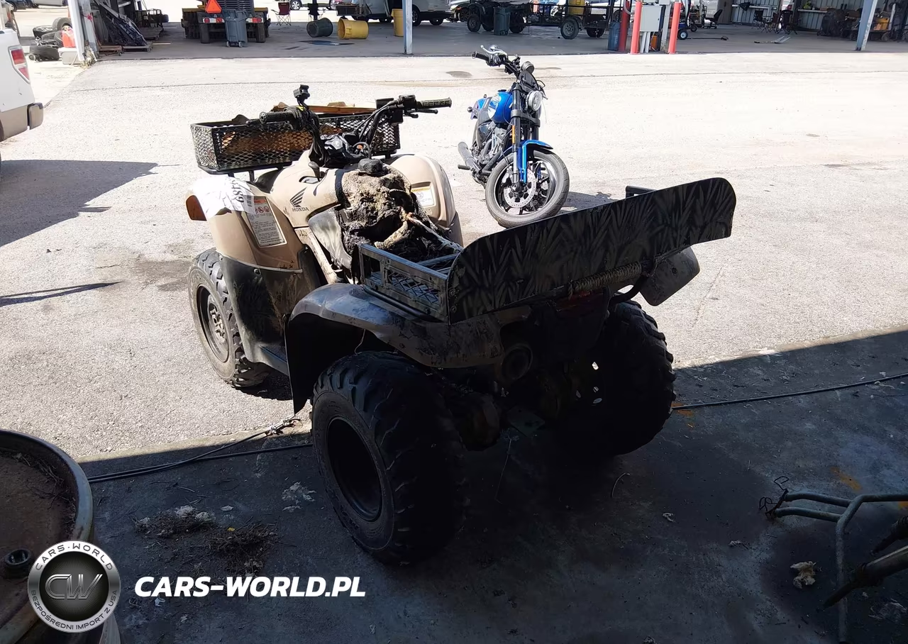 2013 Honda Trx420 Fm VIN:1HFTE3596D4600453 - 3