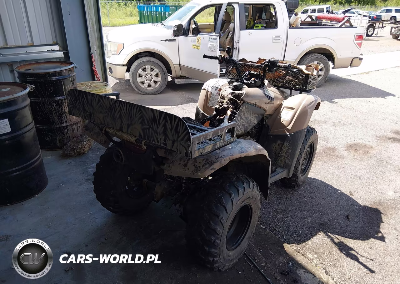 2013 Honda Trx420 Fm VIN:1HFTE3596D4600453 - 4