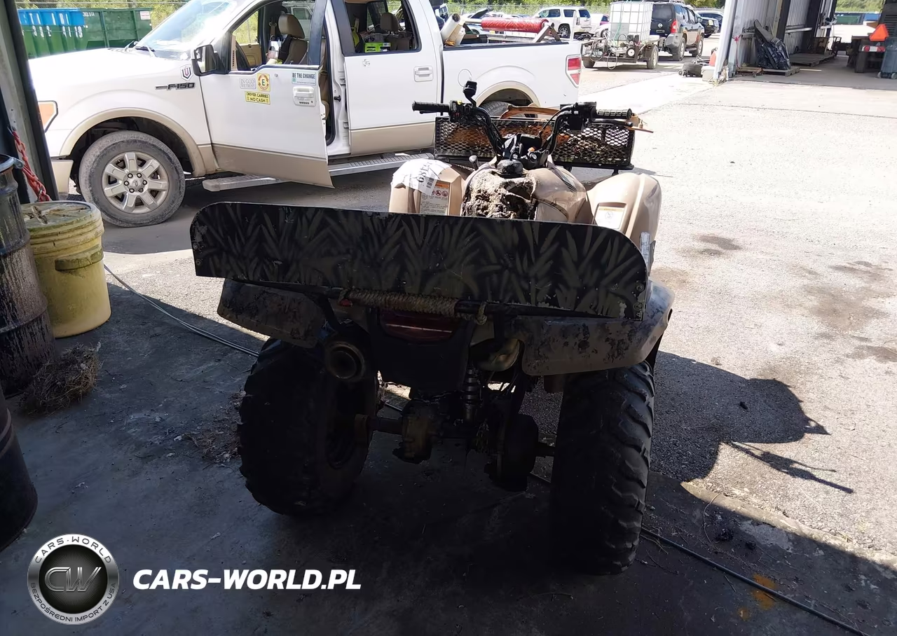 2013 Honda Trx420 Fm VIN:1HFTE3596D4600453 - 6