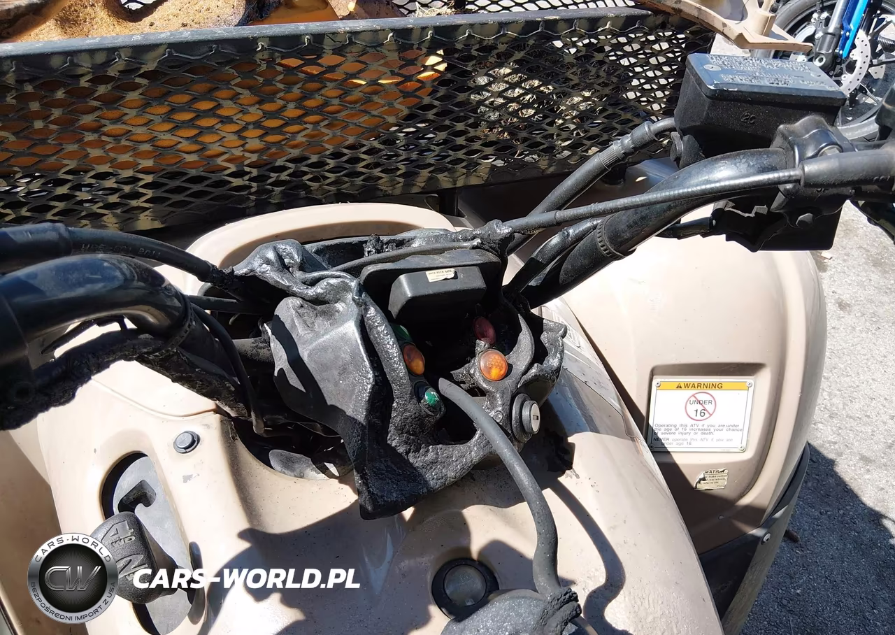 2013 Honda Trx420 Fm VIN:1HFTE3596D4600453 - 7