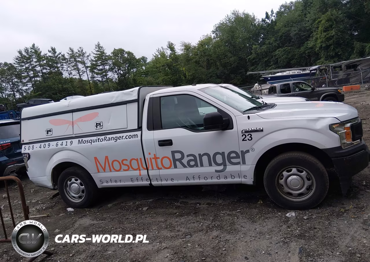 2019 Ford F-150 Xl VIN:1FTMF1CB8KKD10570 - 13