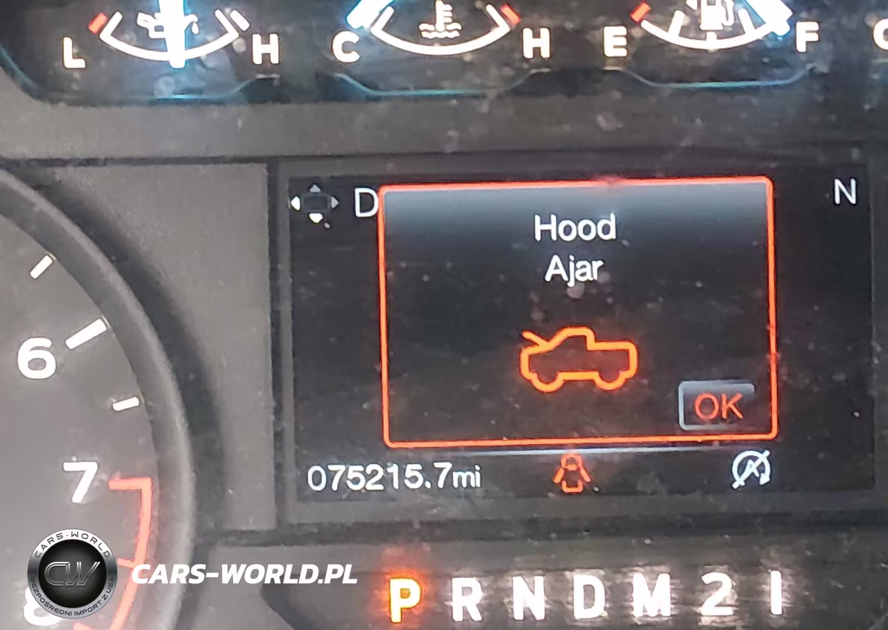 2019 Ford F-150 Xl VIN:1FTMF1CB8KKD10570 - 15
