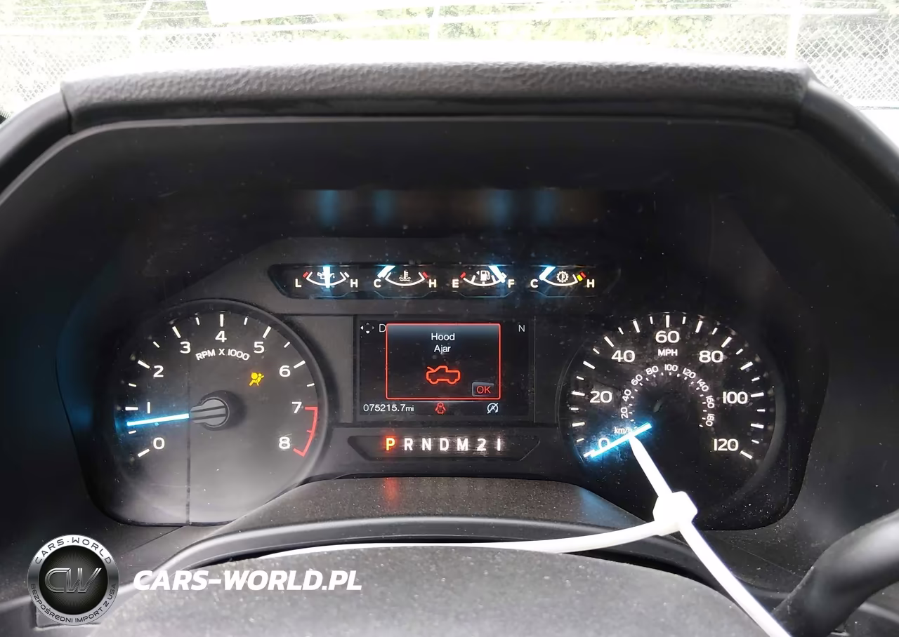 2019 Ford F-150 Xl VIN:1FTMF1CB8KKD10570 - 7