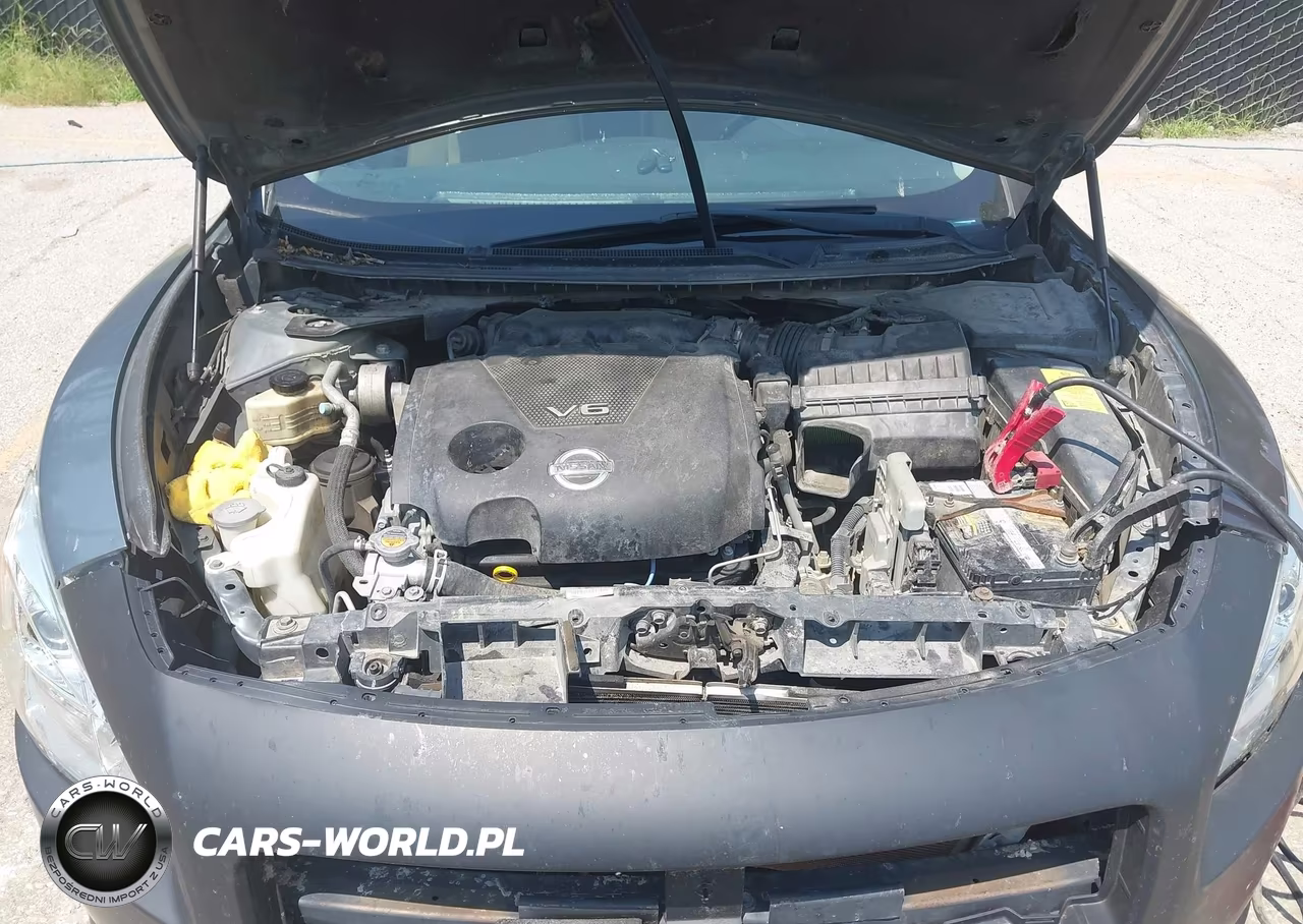 2010 Nissan Maxima 3.5 S VIN:1N4AA5AP4AC849550 - 10