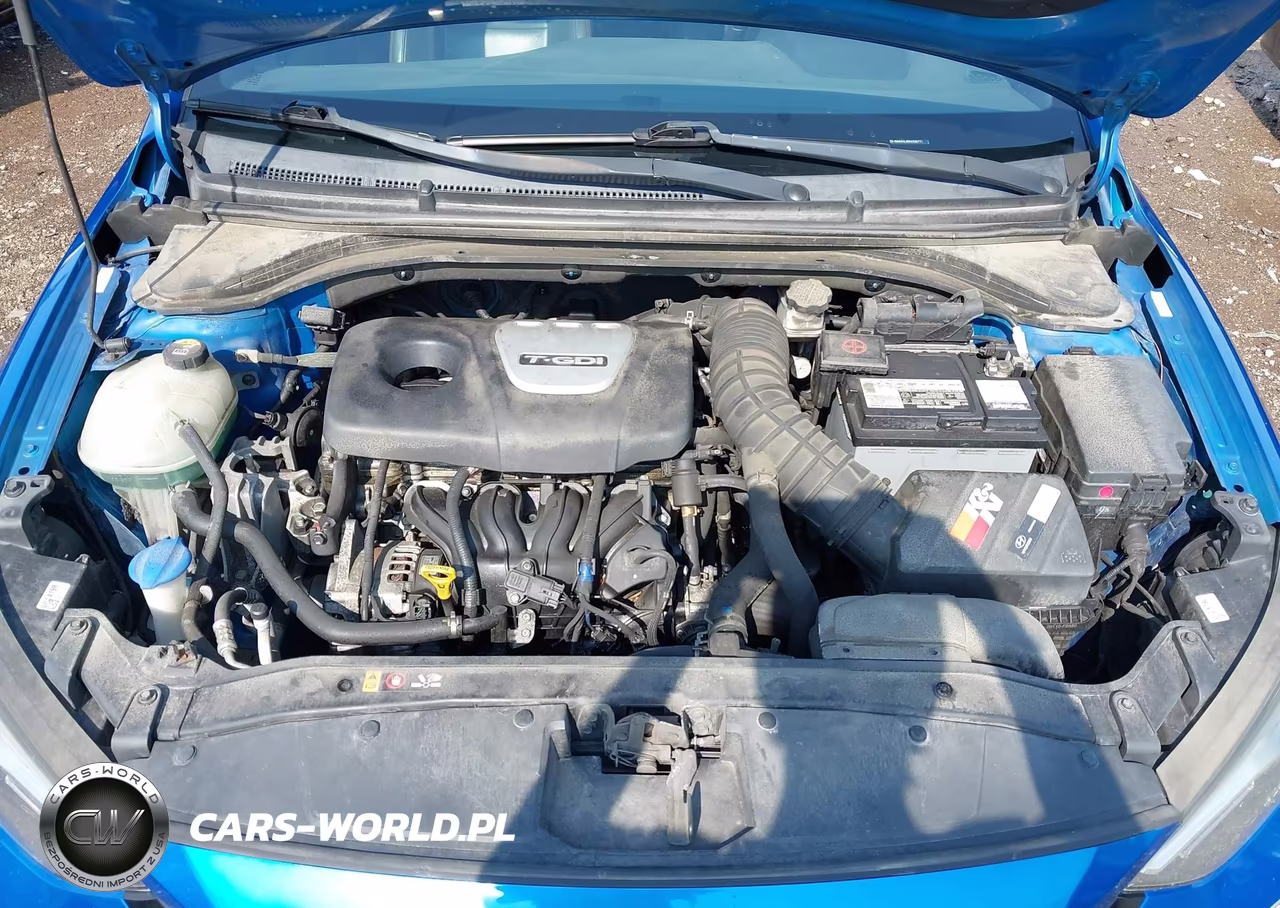 2017 Hyundai Elantra Sport VIN:KMHD04LB0HU336771 - 10