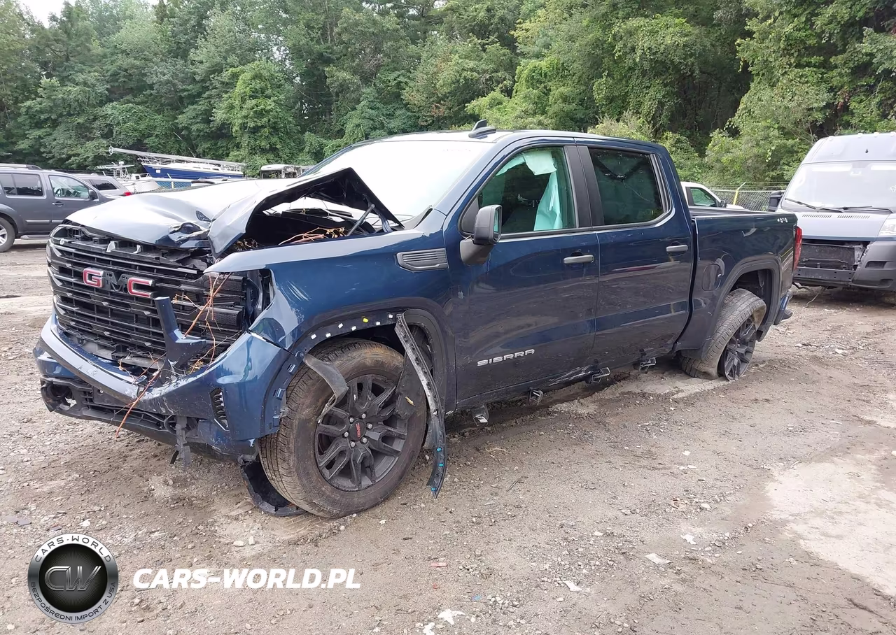 2023 GMC Sierra 1500 Pro VIN:1GTPUAEK3PZ175058 - 2