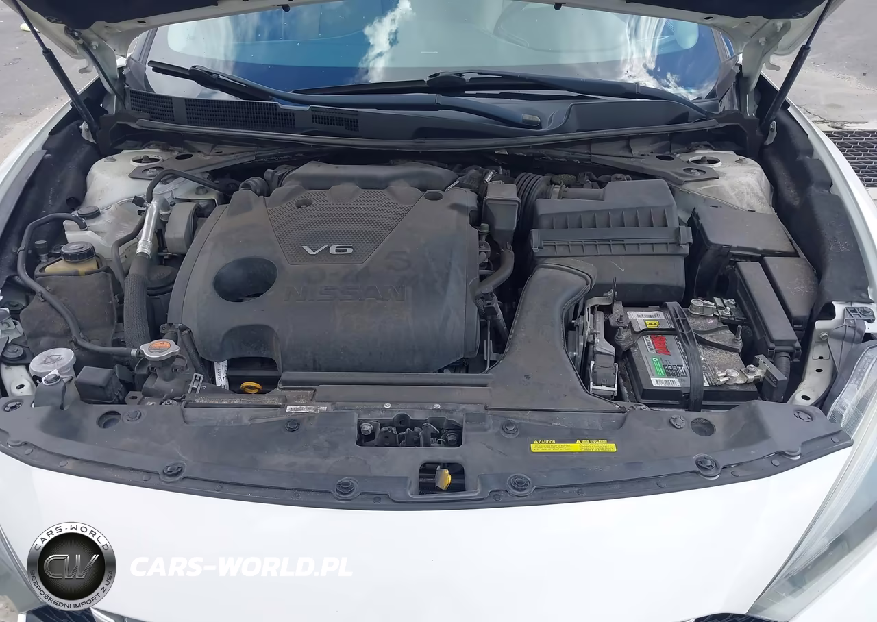 2017 Nissan Maxima 3.5 Platinum VIN:1N4AA6AP0HC435231 - 10