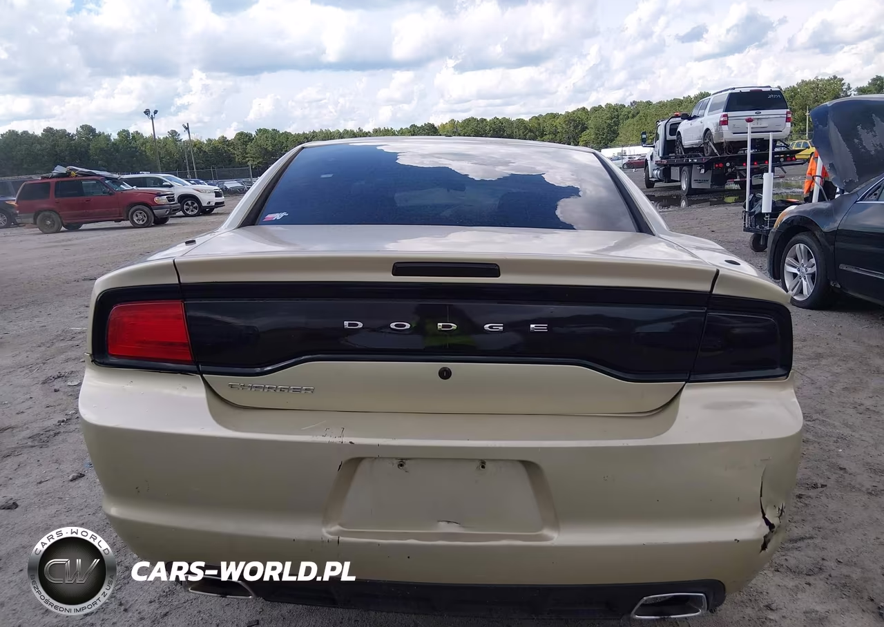 2013 Dodge Charger Police VIN:2C3CDXAT2DH648366 - 16