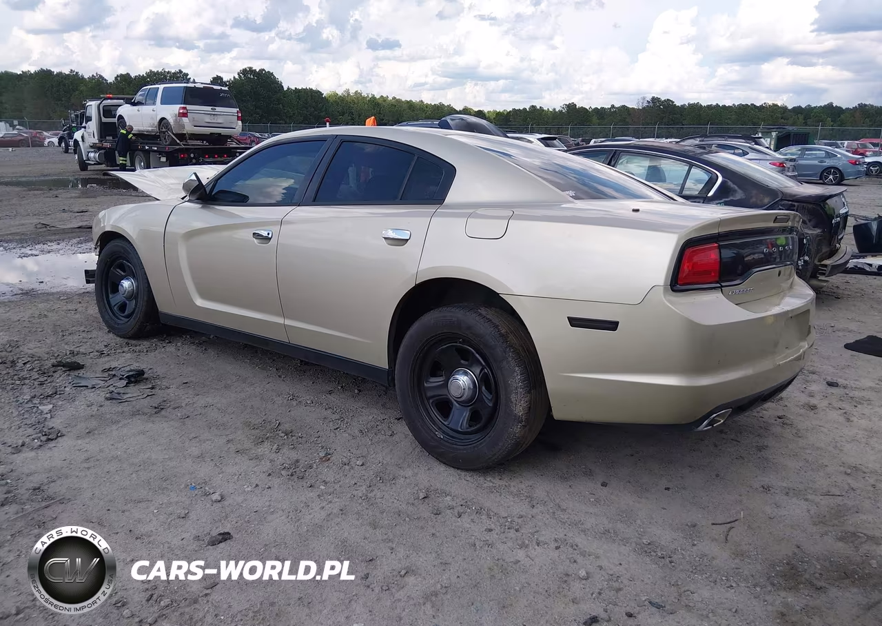 2013 Dodge Charger Police VIN:2C3CDXAT2DH648366 - 3