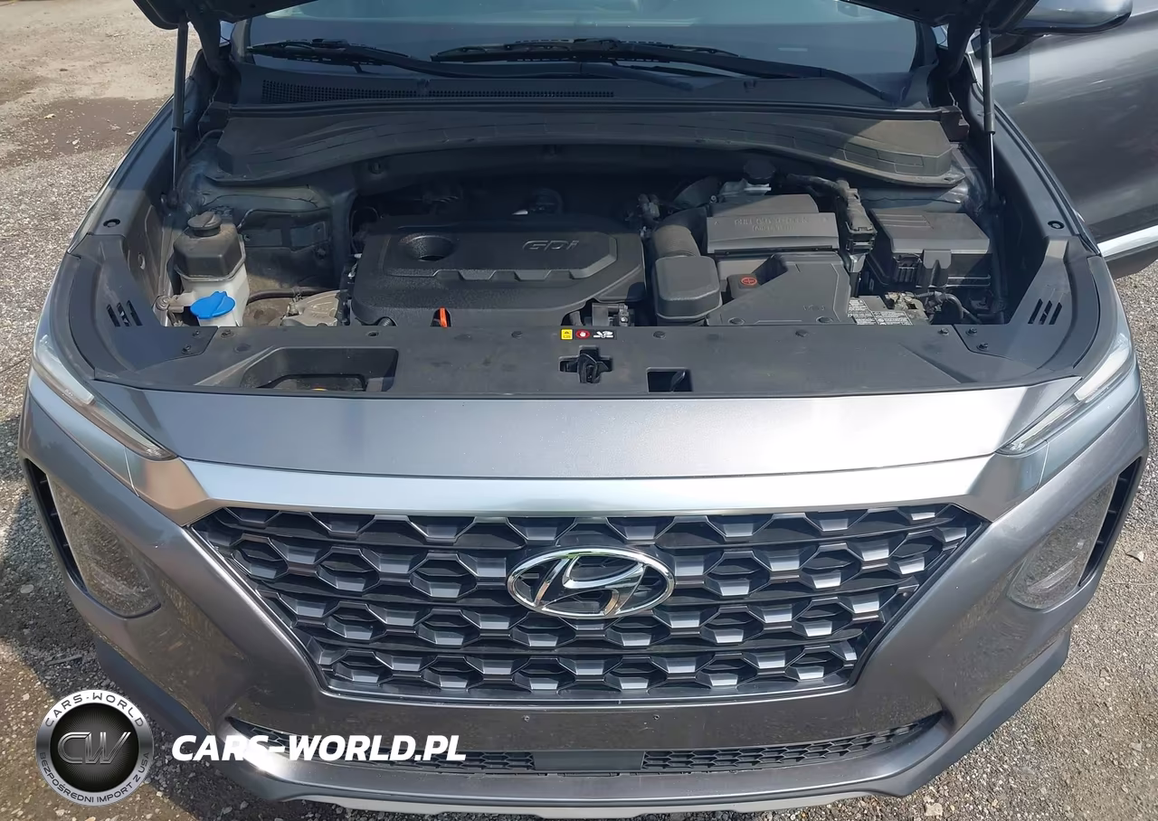 2020 Hyundai Santa Fe Sel VIN:5NMS33ADXLH165755 - 10