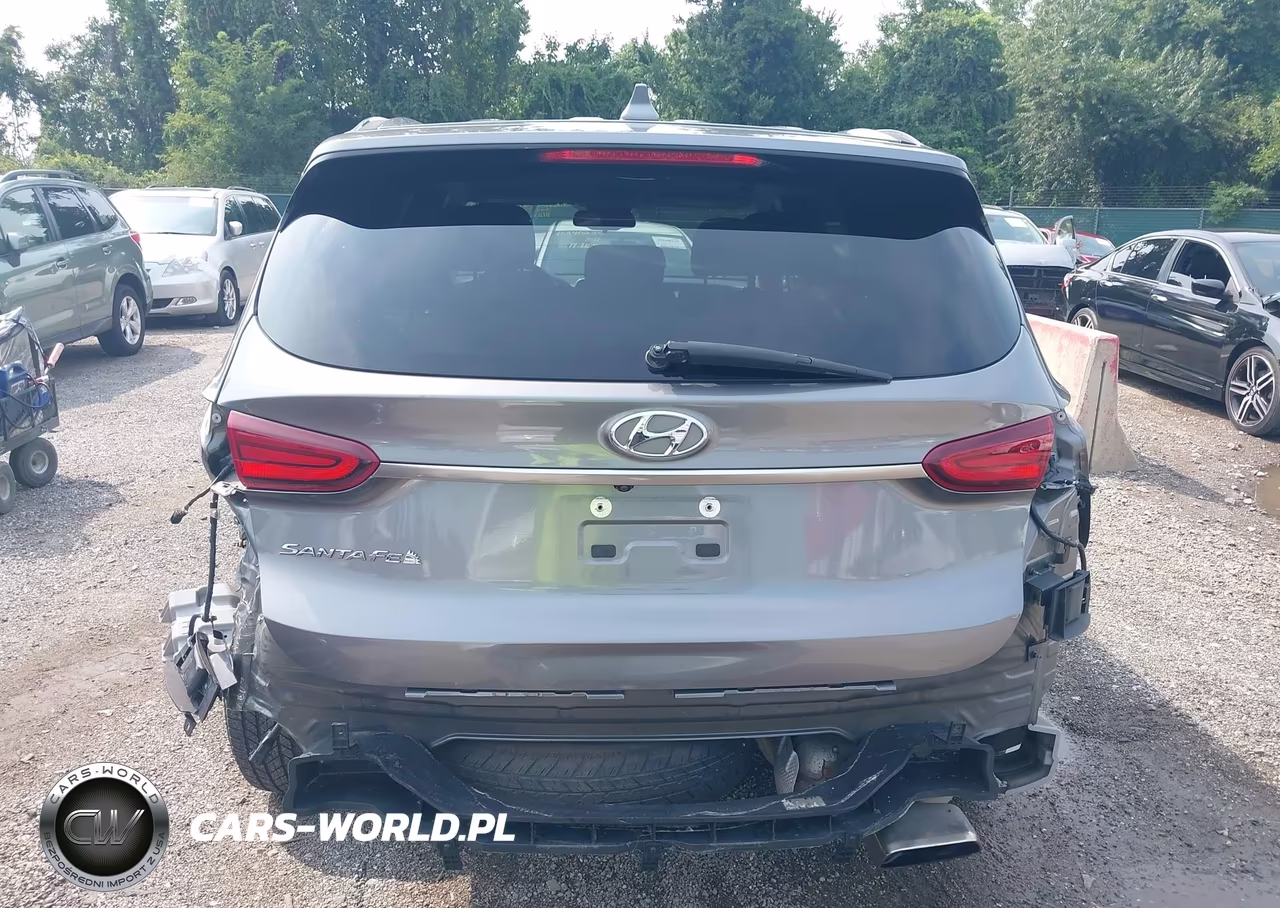 2020 Hyundai Santa Fe Sel VIN:5NMS33ADXLH165755 - 17