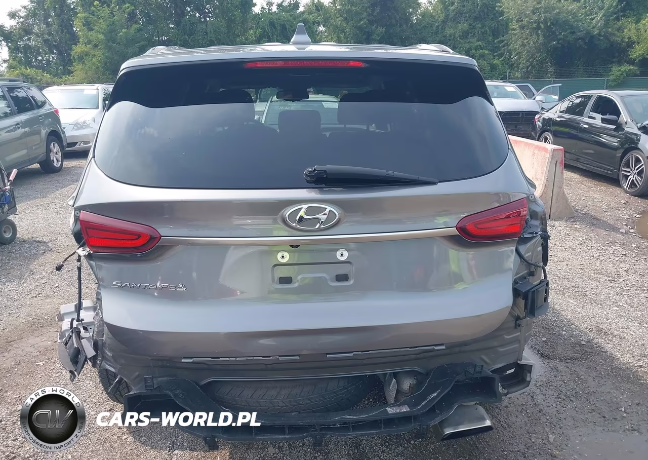2020 Hyundai Santa Fe Sel VIN:5NMS33ADXLH165755 - 6