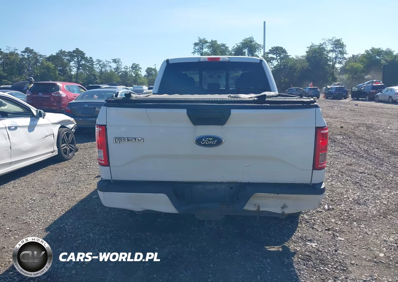 2016 Ford F-150 Xl VIN:1FTEX1EP5GFA57346 - 16