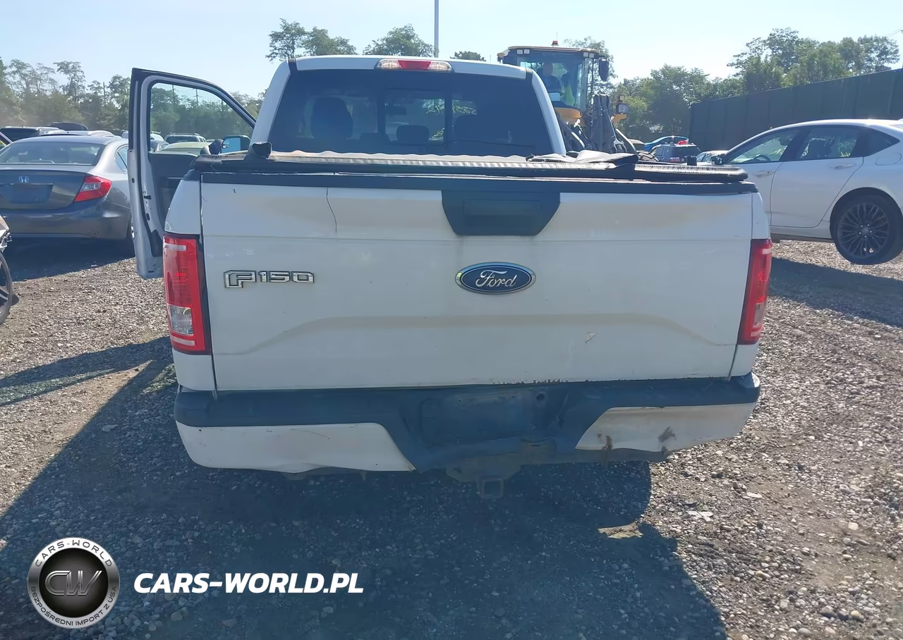 2016 Ford F-150 Xl VIN:1FTEX1EP5GFA57346 - 6
