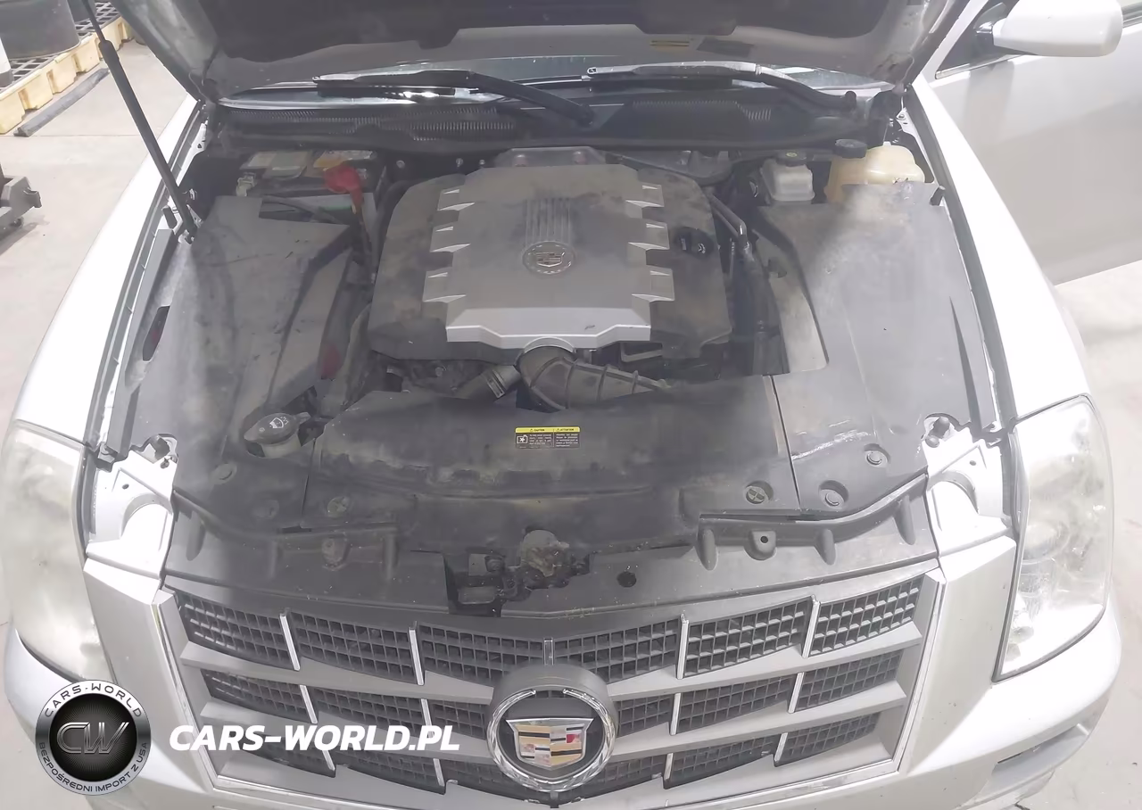 2009 Cadillac Sts Awd W-1Sa VIN:1G6DA67V490129717 - 10