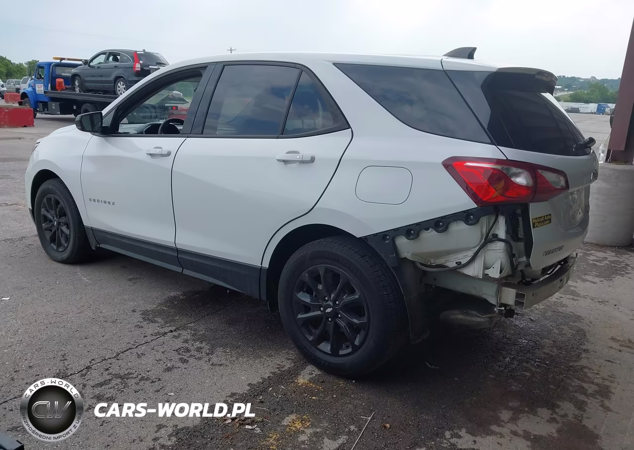 2019 Chevrolet Equinox Ls VIN:2GNAXHEV2K6197936 - 3