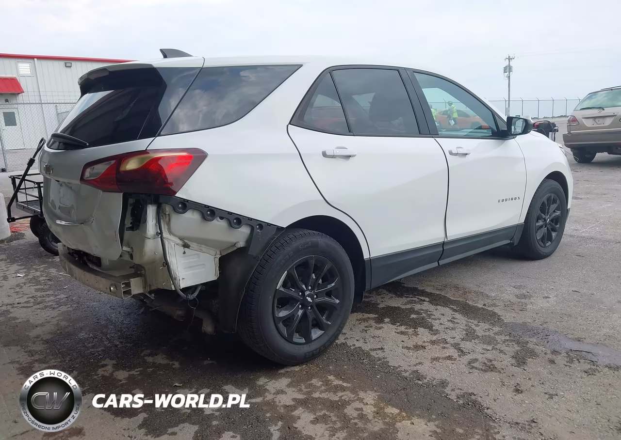 2019 Chevrolet Equinox Ls VIN:2GNAXHEV2K6197936 - 4