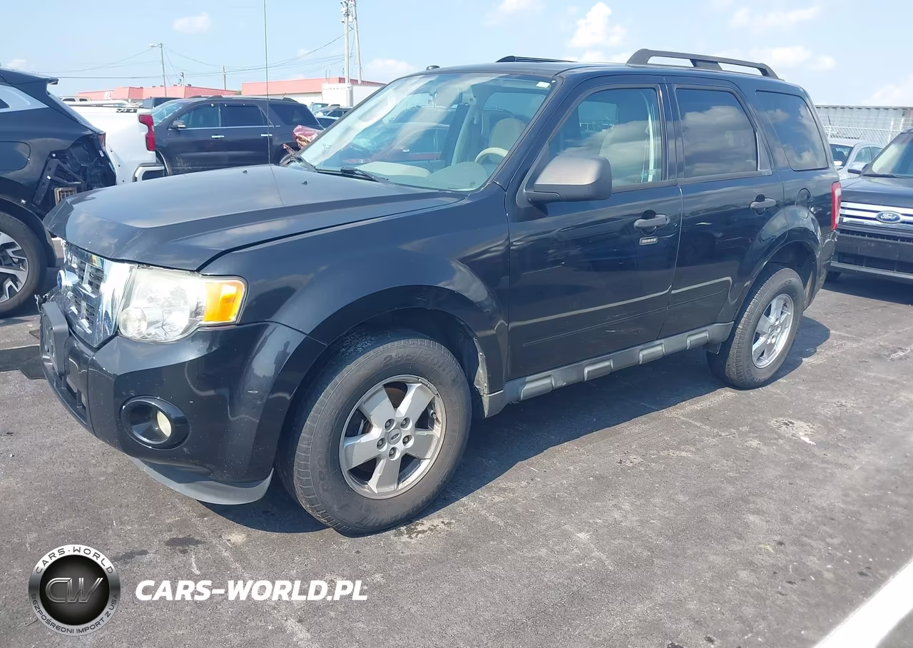 2011 Ford Escape Xlt VIN:1FMCU0D77BKA31385 - 2