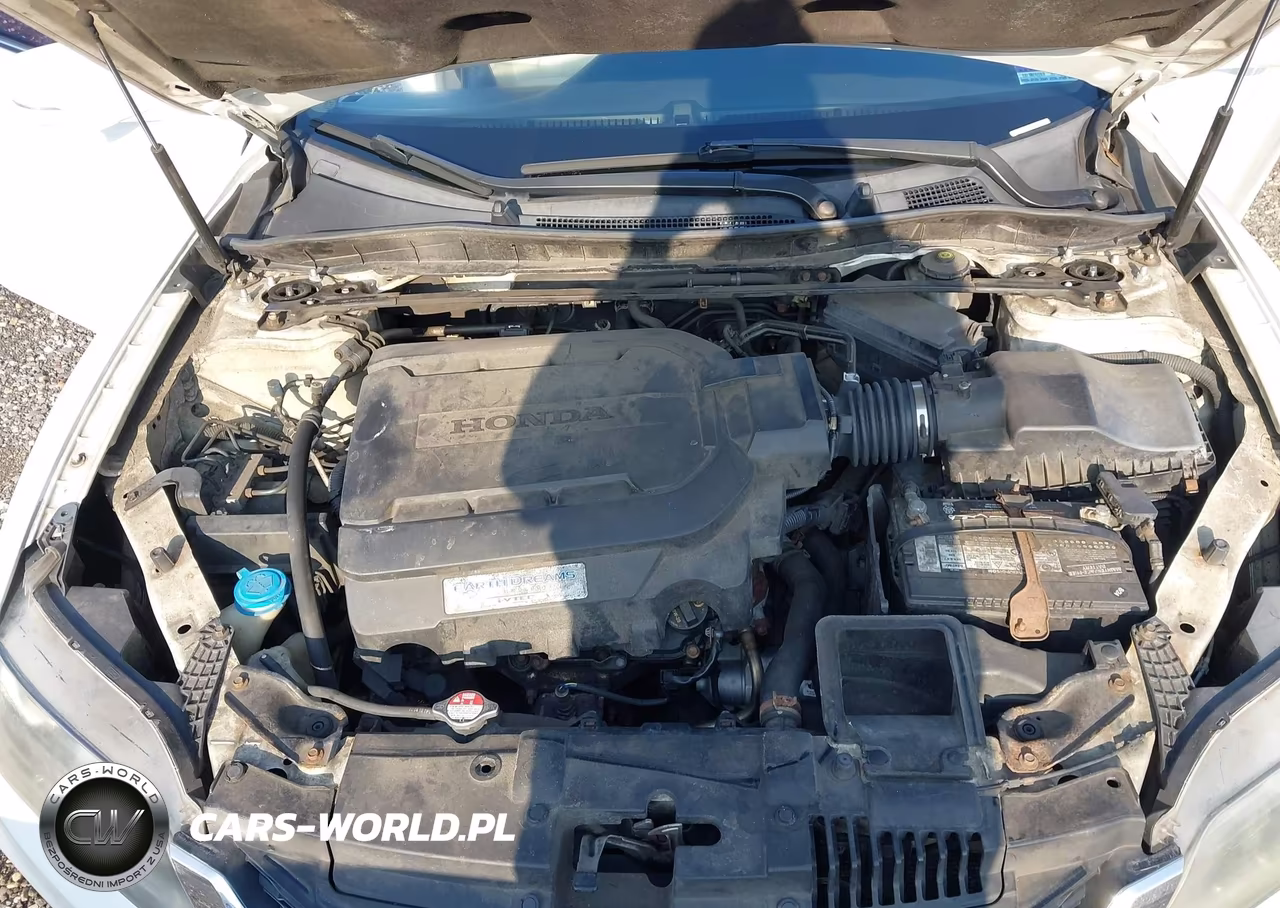 2014 Honda Accord Ex-L V-6 VIN:1HGCT2B84EA000525 - 10