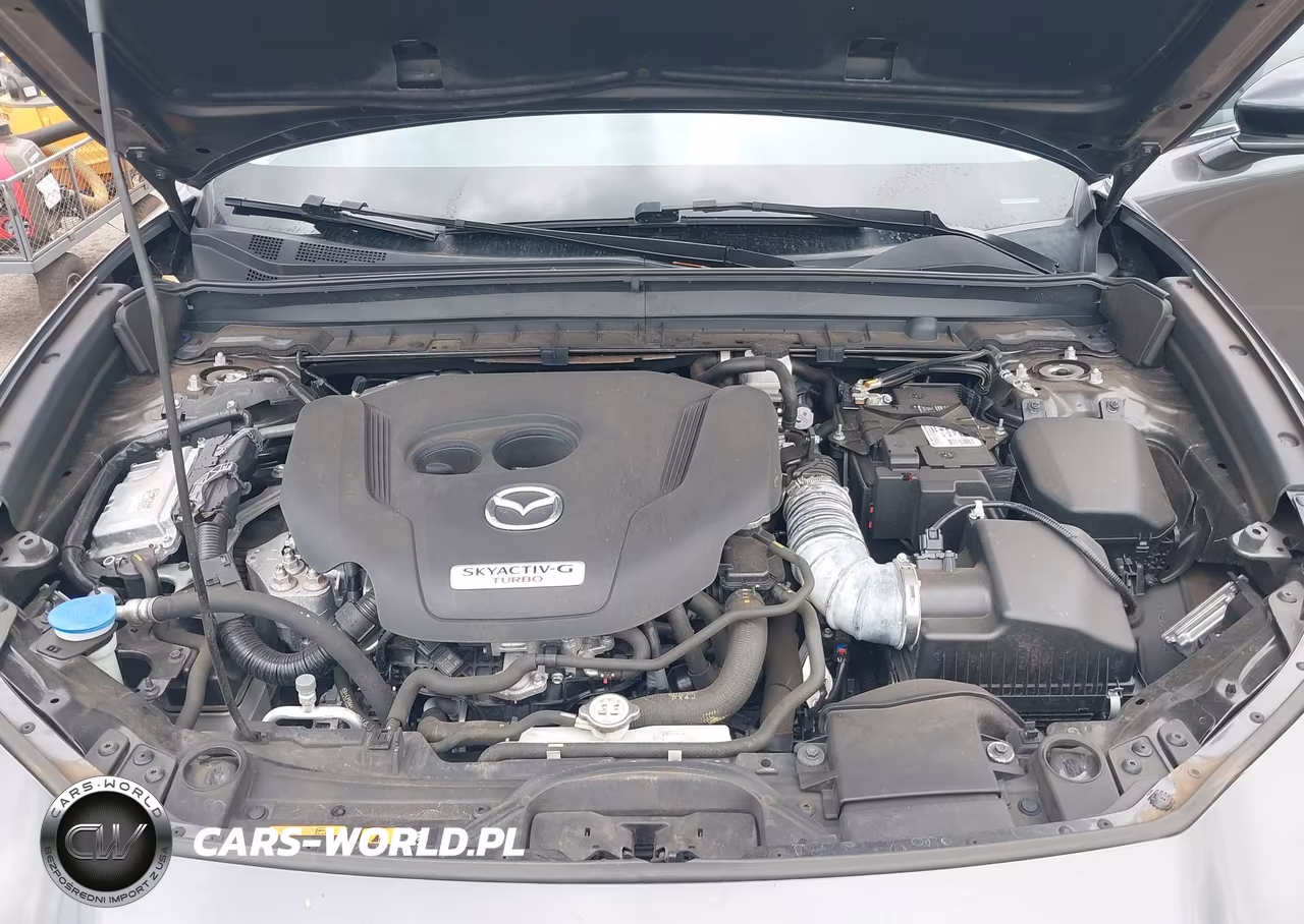 2021 Mazda Cx-30 2.5 Turbo VIN:3MVDMBAY9MM308436 - 10
